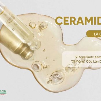 Ceramide Là Gì? Vì Sao Được Xem Là 