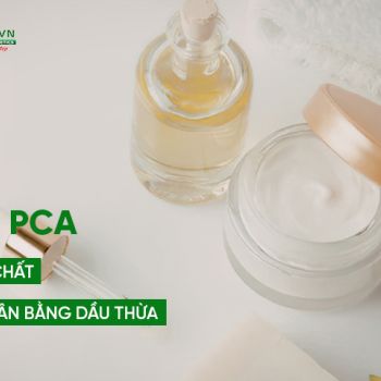 Zinc PCA – Giải Pháp Kiểm Soát Dầu Thừa Hiệu Quả